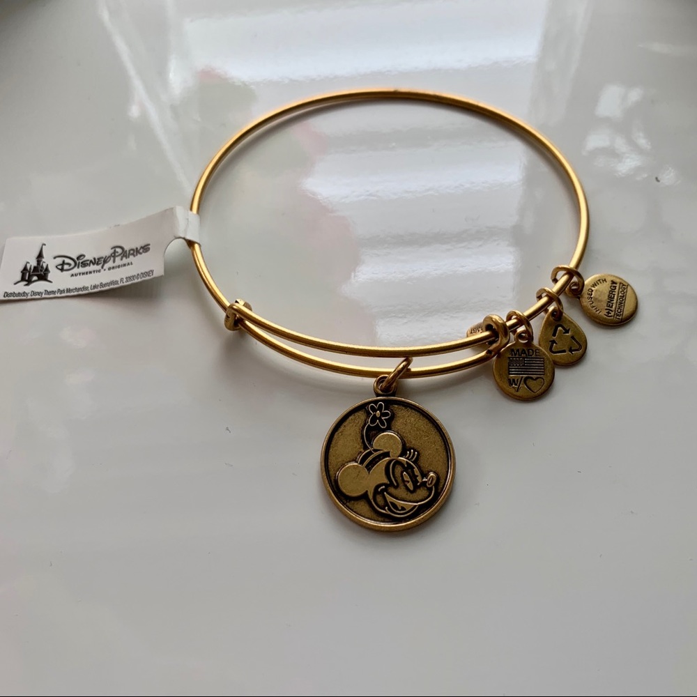 Disney Vintage Minnie Alex and Ani